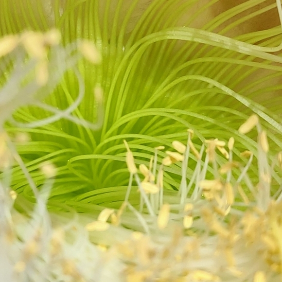 Meet Your Posher - Picture 3 of 6